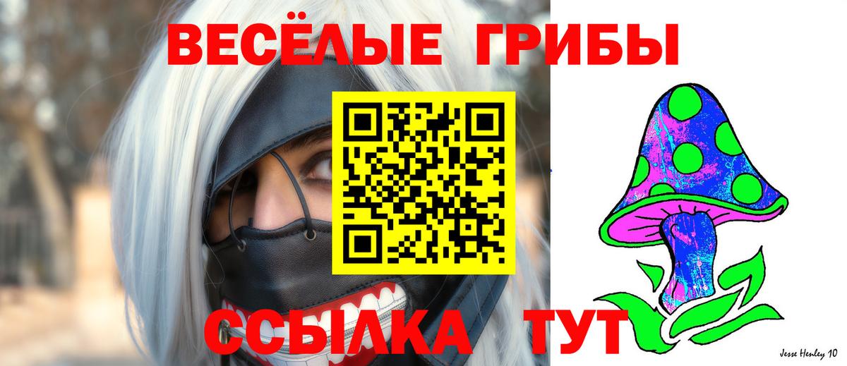 Галлюциногенные грибы ЛСД Михайловка
