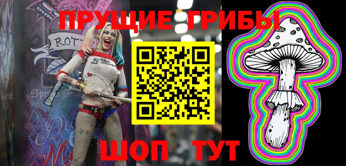 Михайловка  где купить наркоту  Вход с VPN  Галлюциногенные грибы Magic Shrooms 