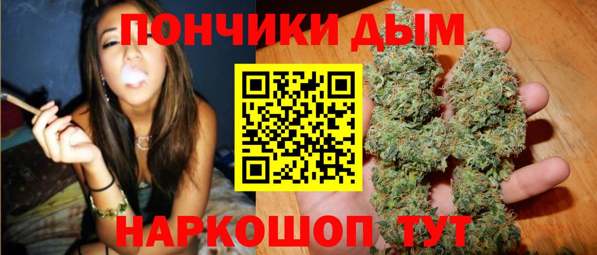 Бошки Шишки семена Михайловка